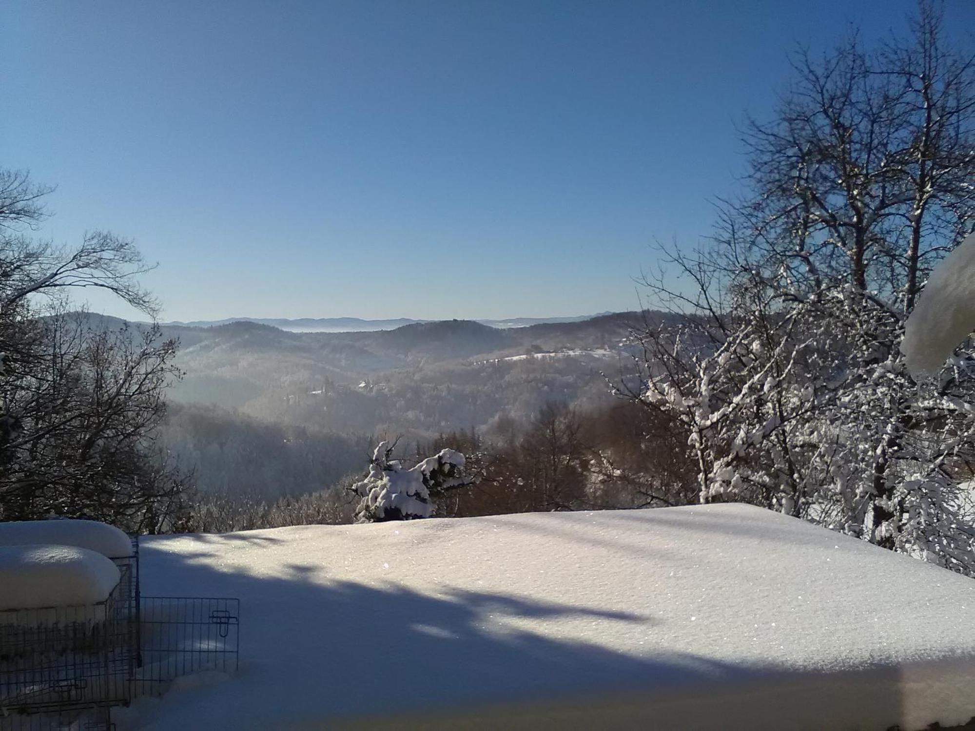Bed&Breakfast Zilje Vinica Zewnętrze zdjęcie