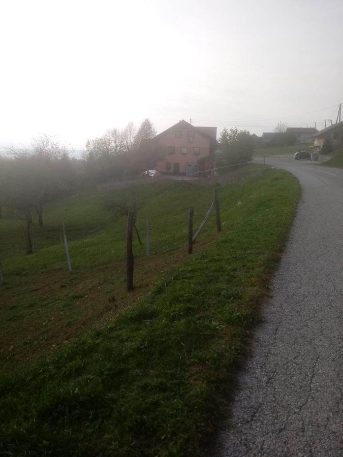Bed&Breakfast Zilje Vinica Zewnętrze zdjęcie