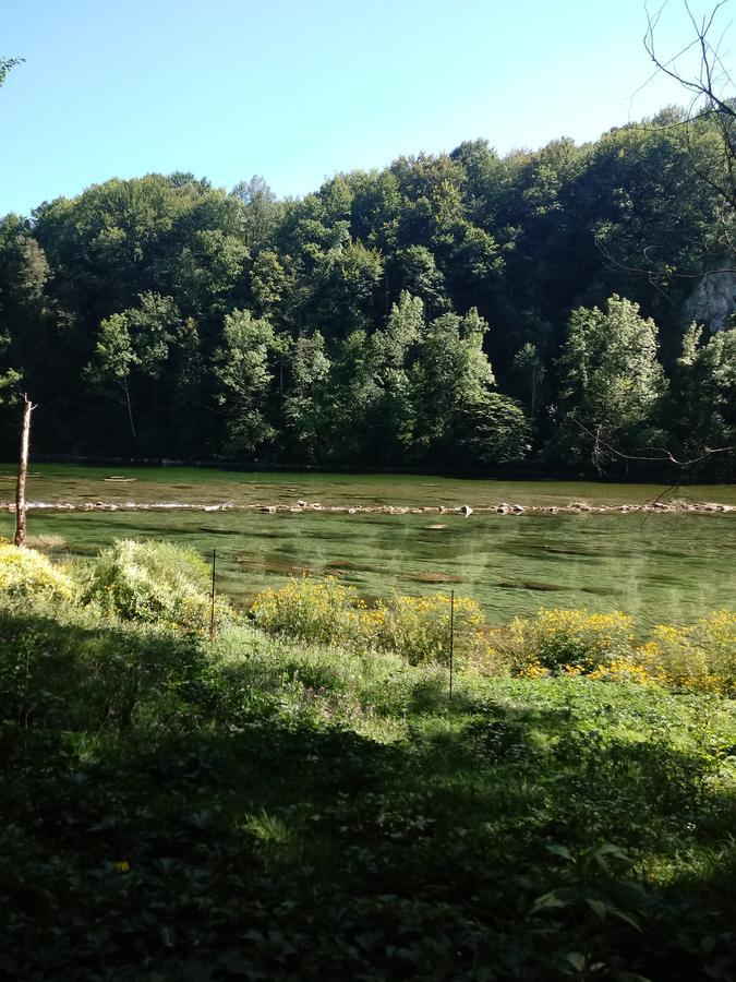 Bed&Breakfast Zilje Vinica Zewnętrze zdjęcie